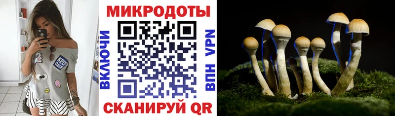 OMG tor  Назрань  Псилоцибиновые грибы ЛСД  купить наркотики сайты 